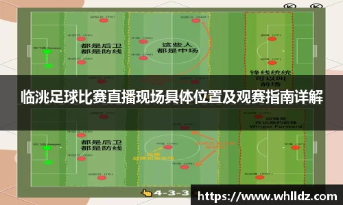 临洮足球比赛直播现场具体位置及观赛指南详解