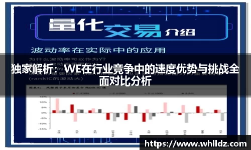 独家解析：WE在行业竞争中的速度优势与挑战全面对比分析